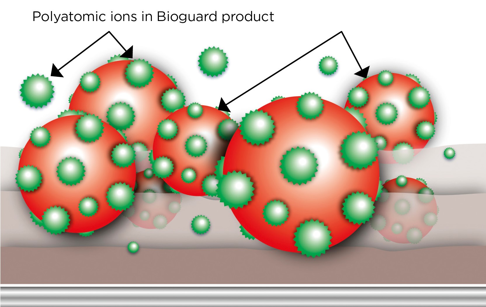 Polyatomic Ions in Bioguard Products
